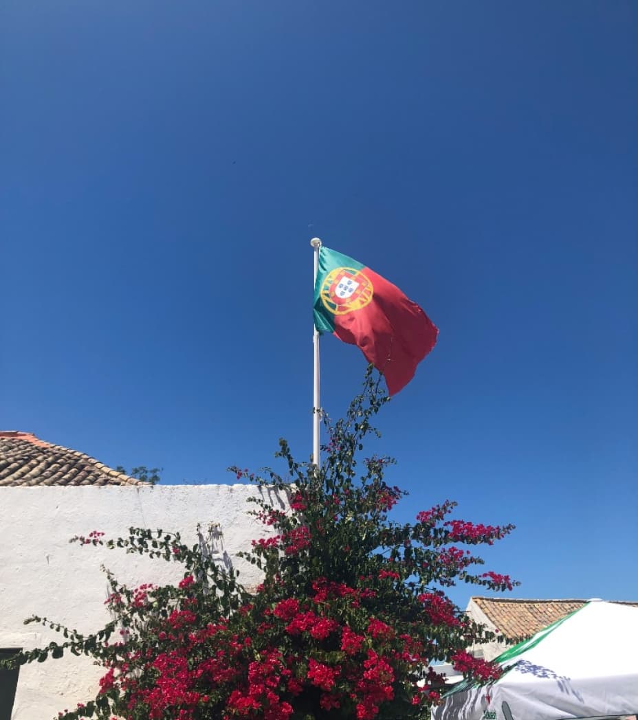 Portugal e UE: Oportunidades e Constragimentos